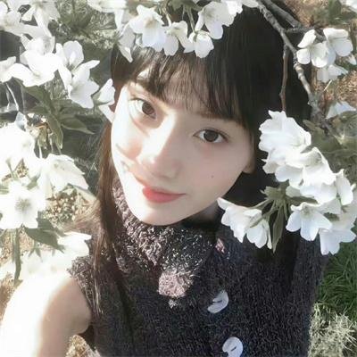 八道楼子